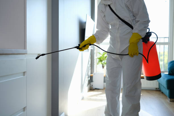 Best HVAC Mold Remediation in Caldwell, NJ