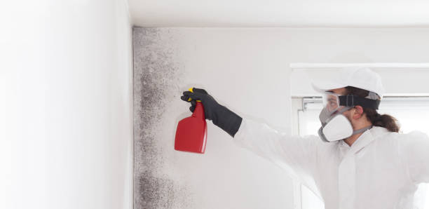 Caldwell, NJ Mold Remediation Company