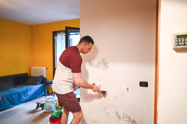 Best DIY Mold Remediation Support Services in Caldwell, NJ